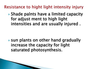 Shade palnts have a limited capacity
for adjust ment to high light
intensities and are usually injured .
 sun plants on other hand gradually
increase the capacity for light
saturated photosynthesis.
 