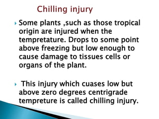  Some plants ,such as those tropical
origin are injured when the
tempretature. Drops to some point
above freezing but low enough to
cause damage to tissues cells or
organs of the plant.
 This injury which cuases low but
above zero degrees centrigrade
tempreture is called chilling injury.
 