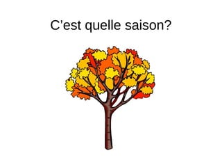 C’est quelle saison?