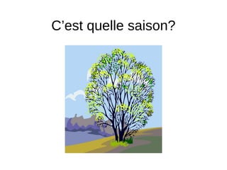 C’est quelle saison?