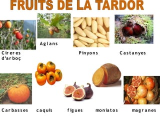 Ag l ans

C ir er es                          P in yo n s              C a s t a n yes
d ’a r bo ç




C a r ba s s es   c a q uis   f ig u es      mo n ia t o s          ma g r a n es
 