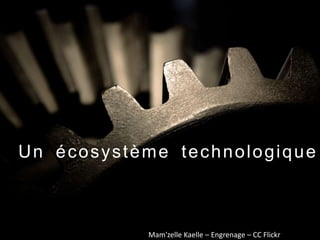 Un écosystème technologique
Mam'zelle Kaelle – Engrenage – CC Flickr
 