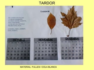 TARDOR MATERIAL: FULLES I COLA BLANCA 