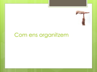 Com ens organitzem
 