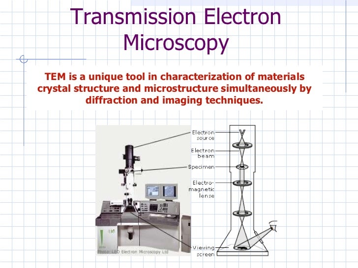 transmission electron microscopy
