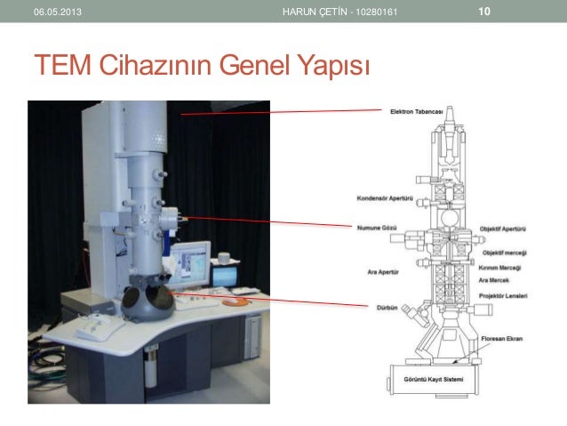 Floresan Mikroskobu Prof Dr Ferah Budak Uludag Universitesi Tip