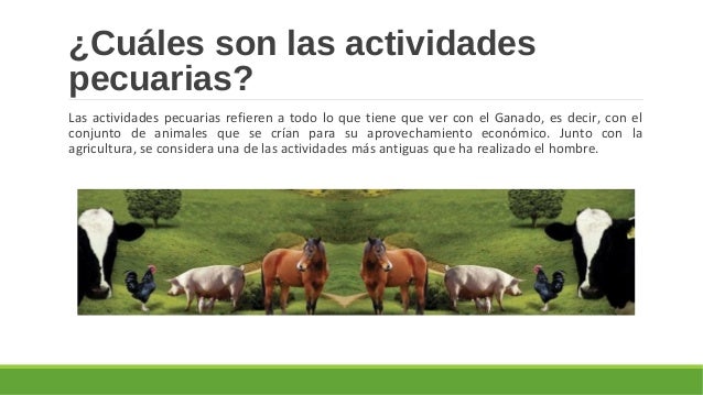 3 Palabras Relacionadas Con Actividades Pecuarias es.slideshare.net