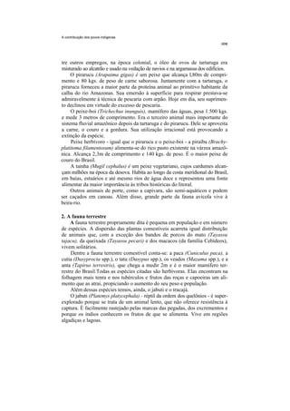 A contribuição dos povos indígenas




tre outros empregos, na época colonial, o óleo de ovos de tartaruga era
misturado ao alcatrão e usado na vedação de navios e na argamassa dos edifícios.
     O pirarucu (Arapaima gigas) é um peixe que alcança l,80m de compri-
mento e 80 kgs. de peso de carne saborosa. Juntamente com a tartaruga, o
pirarucu forneceu a maior parte da proteína animal ao primitivo habitante da
calha do rio Amazonas. Sua emersão à superfície para respirar prestava-se
admiravelmente à técnica de pescaria com arpão. Hoje em dia, seu suprimen-
to declinou em virtude do excesso de pescaria.
     O peixe-boi (Trichechus inunguis), mamífero das águas, pesa 1.500 kgs.
e mede 3 metros de comprimento. Era o terceiro animal mais importante do
sistema fluvial amazônico depois da tartaruga e do pirarucu. Dele se aproveita
a carne, o couro e a gordura. Sua utilização irracional está provocando a
extinção da espécie.
     Peixe herbívoro - igual que o pirarucu e o peixe-boi - a piraíba (Brachy-
platitoma filamentosum) alimenta-se do rico pasto existente na várzea amazô-
nica. Alcança 2,3m de comprimento e 140 kgs. de peso. É o maior peixe de
couro do Brasil.
     A tainha (Mugil cephalus) é um peixe vegetariano, cujos cardumes alcan-
çam milhões na época da desova. Habita ao longo da costa meridional do Brasil,
em baías, estuários e até mesmo rios de água doce e representou uma fonte
alimentar da maior importância às tribos históricas do litoral.
     Outros animais de porte, como a capivara, são semi-aquáticos e podem
ser caçados em canoas. Além disso, grande parte da fauna avícola vive à
beira-rio.

2. A fauna terrestre
    A fauna terrestre propriamente dita é pequena em população e em número
de espécies. A dispersão das plantas comestíveis acarreta igual distribuição
de animais que, com a exceção dos bandos de porcos do mato (Tayassu
tajacu), da queixada (Tayassu pecari) e dos macacos (da família Cebídeos),
vivem solitários.
     Dentre a fauna terrestre comestível conta-se: a paca (Cuniculus paca), a
cutia (Dasyprocta spp.), o tatu (Dasypus spp.), os veados (Mazama spp.), e a
anta (Tapirus terrestris), que chega a medir 2m e é o maior mamífero ter-
restre do Brasil.Todas as espécies citadas são herbívoras. Elas encontram na
folhagem mais tenra e nos tubérculos e frutos das roças e capoeiras um ali-
mento que as atrai, propiciando o aumento do seu peso e população.
     Além dessas espécies temos, ainda, o jabuti e o tracajá.
     O jabuti (Platemys platycephala) - réptil da ordem dos quelônios - é super-
explorado porque se trata de um animal lento, que não oferece resistência à
captura. É facilmente rastejado pelas marcas das pegadas, dos excrementos e
porque os índios conhecem os frutos de que se alimenta. Vive em regiões
algadiças e lagoas.
 
