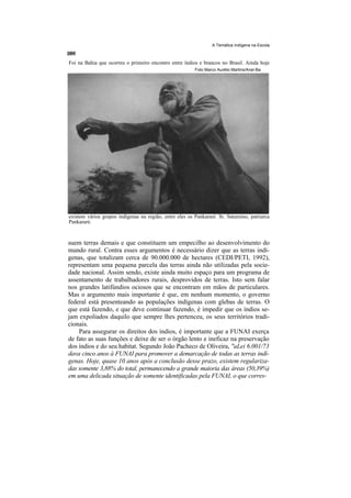 A Temática Indígena na Escola



Foi na Bahia que ocorreu o primeiro encontro entre índios e brancos no Brasil. Ainda hoje
                                                         Foto Marco Aurélio Martins/Anaí-Ba




existem vários grupos indígenas na região, entre eles os Pankararé. Sr. Saturnino, patriarca
Pankararé.



suem terras demais e que constituem um empecilho ao desenvolvimento do
mundo rural. Contra esses argumentos é necessário dizer que as terras indí-
genas, que totalizam cerca de 90.000.000 de hectares (CEDI/PETI, 1992),
representam uma pequena parcela das terras ainda não utilizadas pela socie-
dade nacional. Assim sendo, existe ainda muito espaço para um programa de
assentamento de trabalhadores rurais, desprovidos de terras. Isto sem falar
nos grandes latifúndios ociosos que se encontram em mãos de particulares.
Mas o argumento mais importante é que, em nenhum momento, o governo
federal está presenteando as populações indígenas com glebas de terras. O
que está fazendo, e que deve continuar fazendo, é impedir que os índios se-
jam expoliados daquilo que sempre lhes pertenceu, os seus territórios tradi-
cionais.
    Para assegurar os direitos dos índios, é importante que a FUNAI exerça
de fato as suas funções e deixe de ser o órgão lento e ineficaz na preservação
dos índios e do seu habitat. Segundo João Pacheco de Oliveira, "aLei 6.001/73
dava cinco anos à FUNAI para promover a demarcação de todas as terras indí-
genas. Hoje, quase 10 anos após a conclusão desse prazo, existem regulariza-
das somente 3,88% do total, permanecendo a grande maioria das áreas (50,39%)
em uma delicada situação de somente identificadas pela FUNAI, o que corres-
 