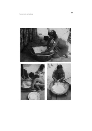 Processamento da mandioca
 