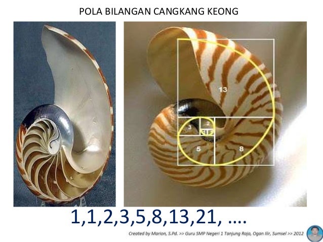 Temukan pola bilangan Kelas 9 SMP