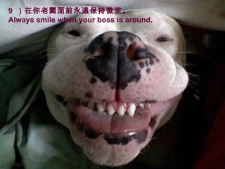 9  ǰh΢Ц  Always smile when your boss is around. 