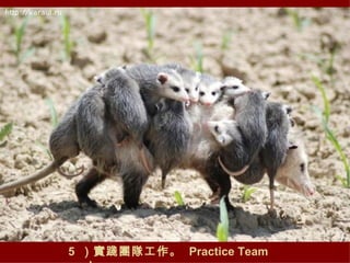 5  `F꠹  Practice Team work. 