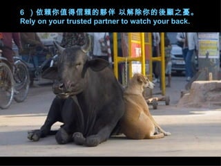 6  هֵهⷰ Խ֮n  Rely on your trusted partner to watch your back. 