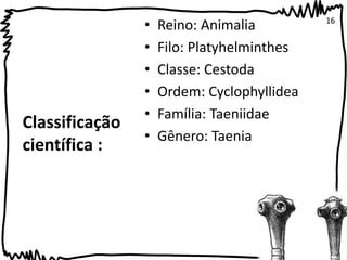 Classificação 
científica : 
• Reino: Animalia 
• Filo: Platyhelminthes 
• Classe: Cestoda 
• Ordem: Cyclophyllidea 
• Família: Taeniidae 
• Gênero: Taenia 
16 
 
