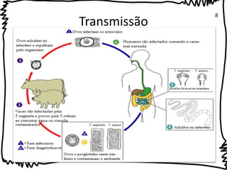 Transmissão 8 
 