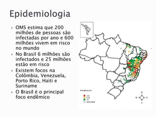  OMS estima que 200
milhões de pessoas são
infectadas por ano e 600
milhões vivem em risco
no mundo
 No Brasil 6 milhões são
infectados e 25 milhões
estão em risco
 Existem focos na
Colômbia, Venezuela,
Porto Rico, Haiti e
Suriname
 O Brasil é o principal
foco endêmico
 