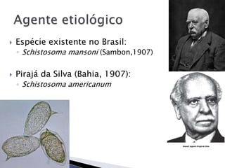  Espécie existente no Brasil:
◦ Schistosoma mansoni (Sambon,1907)
 Pirajá da Silva (Bahia, 1907):
◦ Schistosoma americanum
 