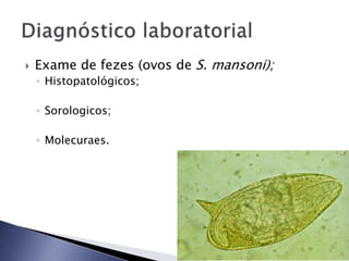 Exame de fezes (ovos de S. mansoni);
◦ Histopatológicos;
◦ Sorologicos;
◦ Molecuraes.
 