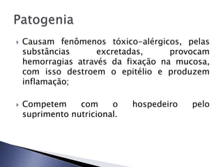  Causam fenômenos tóxico-alérgicos, pelas
substâncias excretadas, provocam
hemorragias através da fixação na mucosa,
com isso destroem o epitélio e produzem
inflamação;
 Competem com o hospedeiro pelo
suprimento nutricional.
 