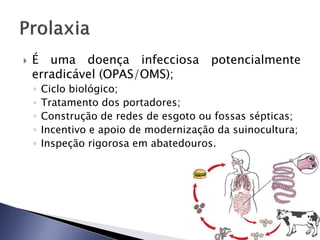  É uma doença infecciosa potencialmente
erradicável (OPAS/OMS);
◦ Ciclo biológico;
◦ Tratamento dos portadores;
◦ Construção de redes de esgoto ou fossas sépticas;
◦ Incentivo e apoio de modernização da suinocultura;
◦ Inspeção rigorosa em abatedouros.
 