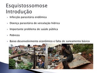  Infecção parasitária endêmica
 Doença parasitária de veiculação hídrica
 Importante problema de saúde pública
 Pobreza
 Baixo desenvolvimento econômico e falta de saneamento básico
 