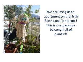 We are living in an
apartment on the 4rth
floor. Look Tentacool!
This is our backside
balcony: full of
plants!!!
 