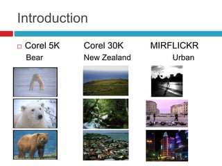 Introduction
 Corel 5K Corel 30K MIRFLICKR
Bear New Zealand Urban
 