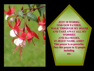 JUST 19 WORDS:  GOD OUR FATHER,  WALK THROUGH MY HOUSE  AND TAKE AWAY ALL MY WORRIES  AND ILLNESSES,  IN JESUS' NAME. AMEN  This prayer is so powerful.  Pass this prayer to 12 people including  me.  