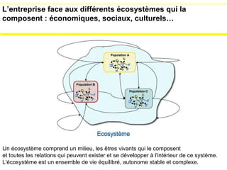 Un écosystème comprend un milieu, les êtres vivants qui le composent  et toutes les relations qui peuvent exister et se développer à l'intérieur de ce système. L'écosystème est un ensemble de vie équilibré, autonome stable et complexe. L’entreprise face aux différents écosystèmes qui la composent : économiques, sociaux, culturels… 