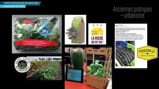 COMMENT CAPITALISER SUR SON SAVOIR-FAIRE ?
Anciennes pratiques
+ urbanisme
CONJUGUER AU FUTUR
Salade Sky Greens issue de ferme urbaine
Poiscaille - Vente directe de poisson
Potager urbain - FranceLa boîte à champignons - France
 