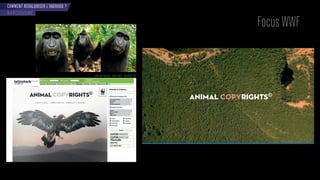 COMMENT REVALORISER L’INDIVIDU ?
Focus WWF
NARCISSISME
sel e de maca e - a id later - ndonésie
 