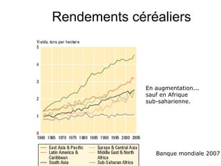 Tendances et facteurs de production et de commerce du bétail en Afrique sub-saharienne