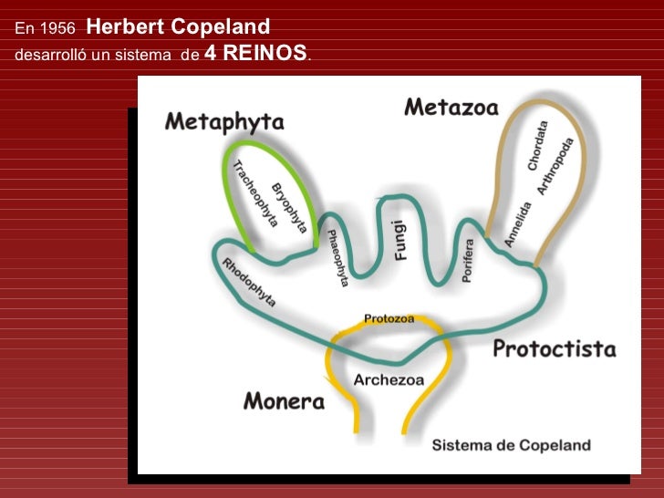 Tendencias Actuales sobre la clasificación de los organismos