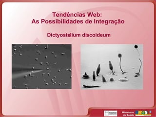 Tendências Web:  As Possibilidades de Integração Dictyostelium discoideum 