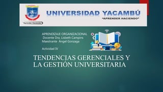 TENDENCIAS GERENCIALES Y
LA GESTIÓN UNIVERSITARIA
APRENDIZAJE ORGANIZACIONAL
Docente Dra. Lisbeth Campins
Maestrante Ángel Gonzaga
Actividad IV
 
