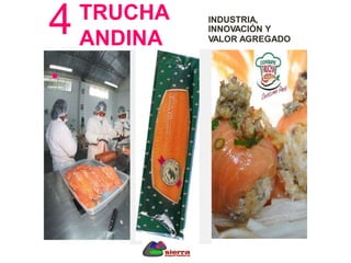 4
.
TRUCHA INDUSTRIA,
INNOVACIÓN Y
VALOR AGREGADOANDINA
 