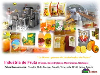 Países Demandantes: Ecuador, Chile, México, Canadá, Venezuela, EEUU, Japón, Francia
“ La Nueva generación de derivados de Frutas”
Industria de Fruta (Pulpas, Deshidratados, Mermeladas, Néctares)
 