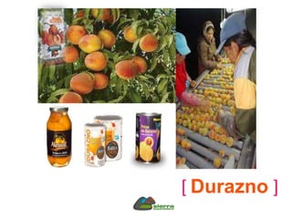 [ Durazno ]
 
