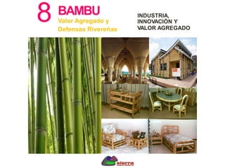 8
.
BAMBU INDUSTRIA,
INNOVACIÓN Y
VALOR AGREGADO
Valor Agregado y
Defensas Rivereñas
 