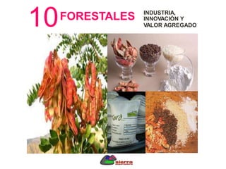 10
.
FORESTALES INDUSTRIA,
INNOVACIÓN Y
VALOR AGREGADO
 