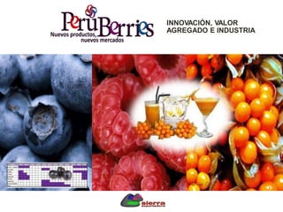 INNOVACIÓN, VALOR
AGREGADO E INDUSTRIA
 