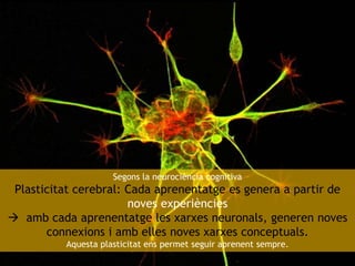 Segons la neurociència cognitiva

Plasticitat cerebral: Cada aprenentatge es genera a partir de
noves experiències
 amb c...