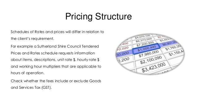 Tender writing guide presentation