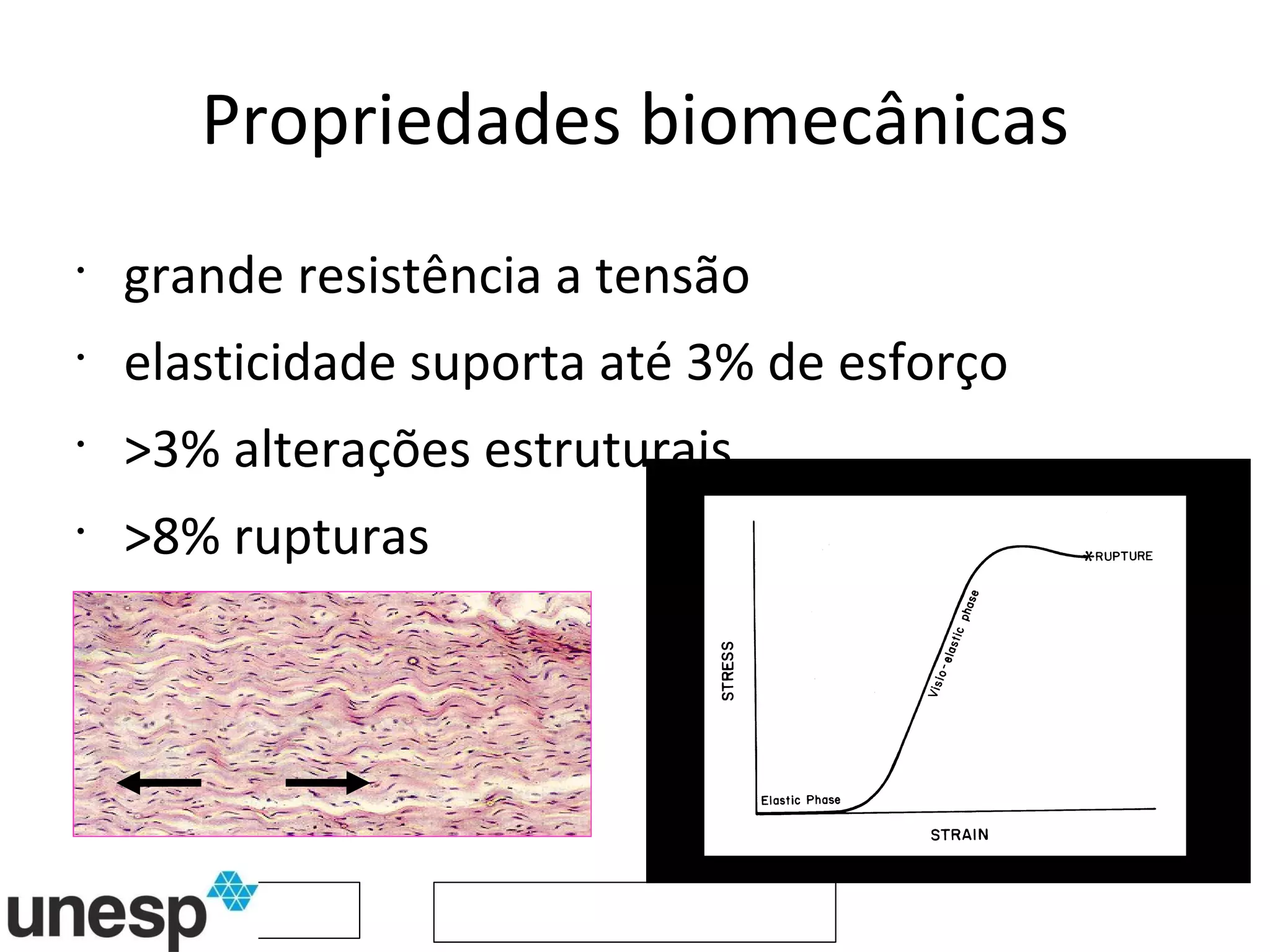 Propriedades biomecânicas grande resistência a tensão elasticidade suporta até 3% de esforço >3% alterações estruturais >8% rupturas 
