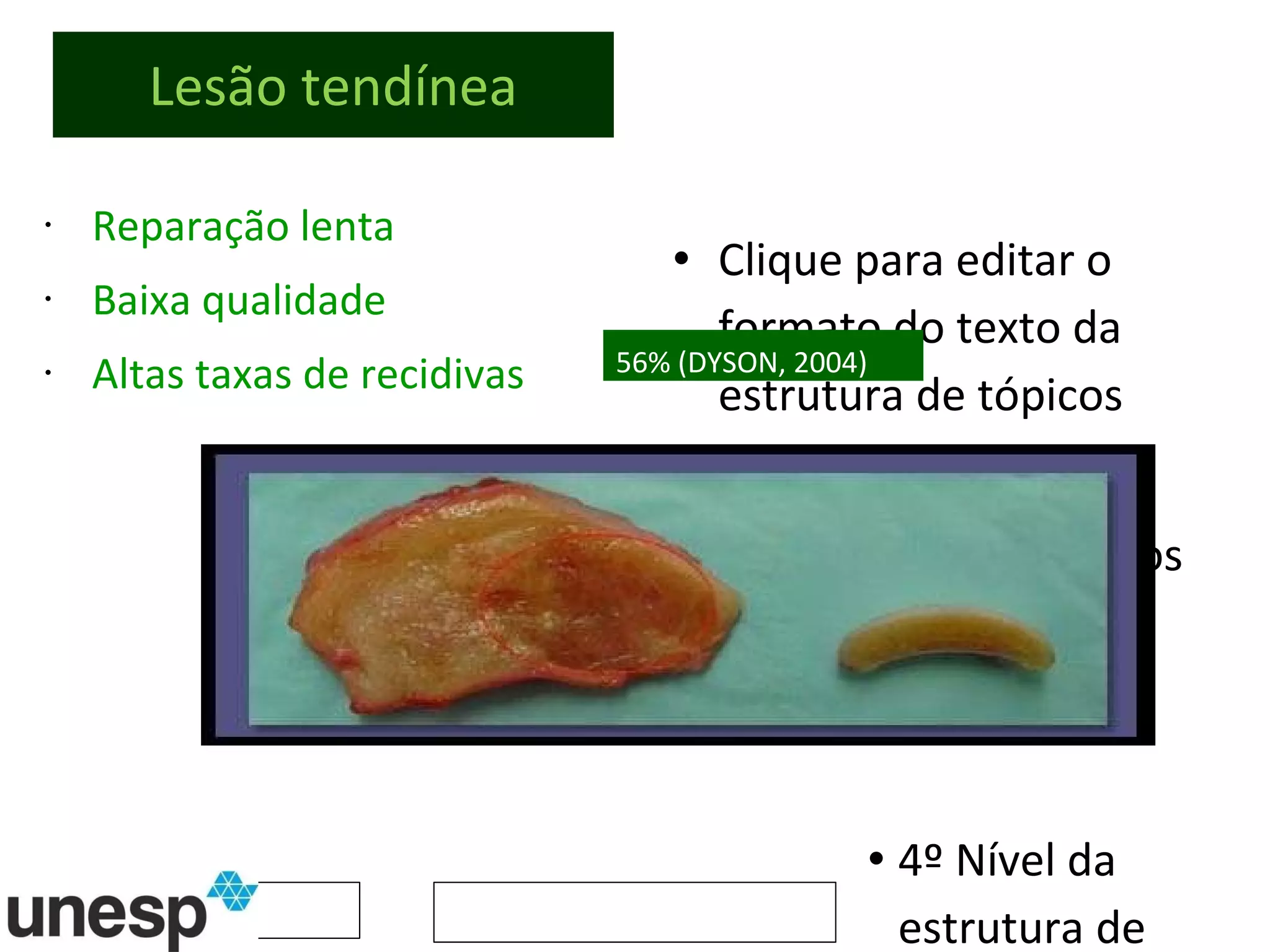 Lesão tendínea Reparação lenta Baixa qualidade Altas taxas de recidivas  56% (DYSON, 2004) 