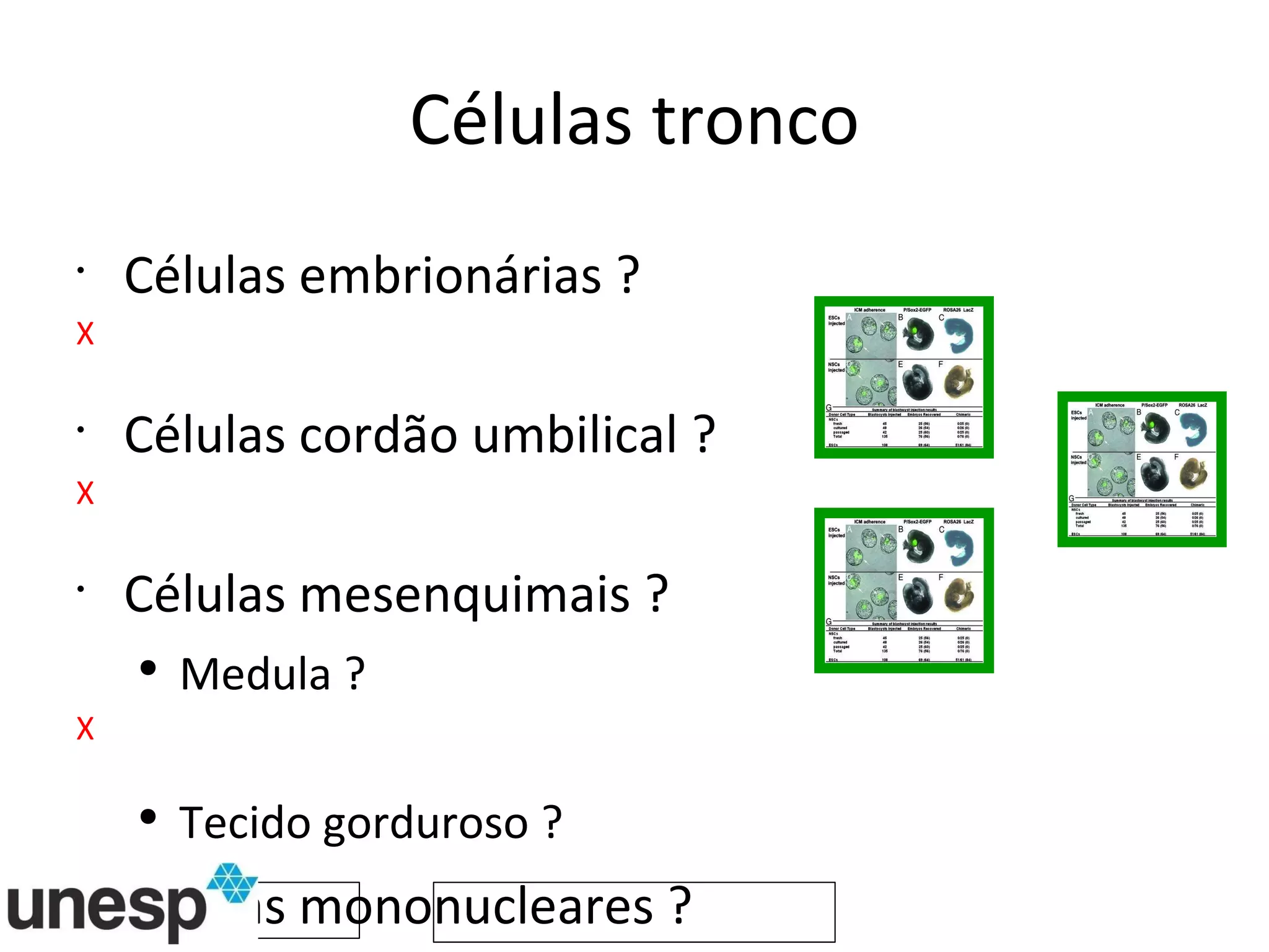 Células tronco Células embrionárias ? X Células cordão umbilical  ? X Células mesenquimais ? Medula ? X Tecido gorduroso ? Células mononucleares ? 