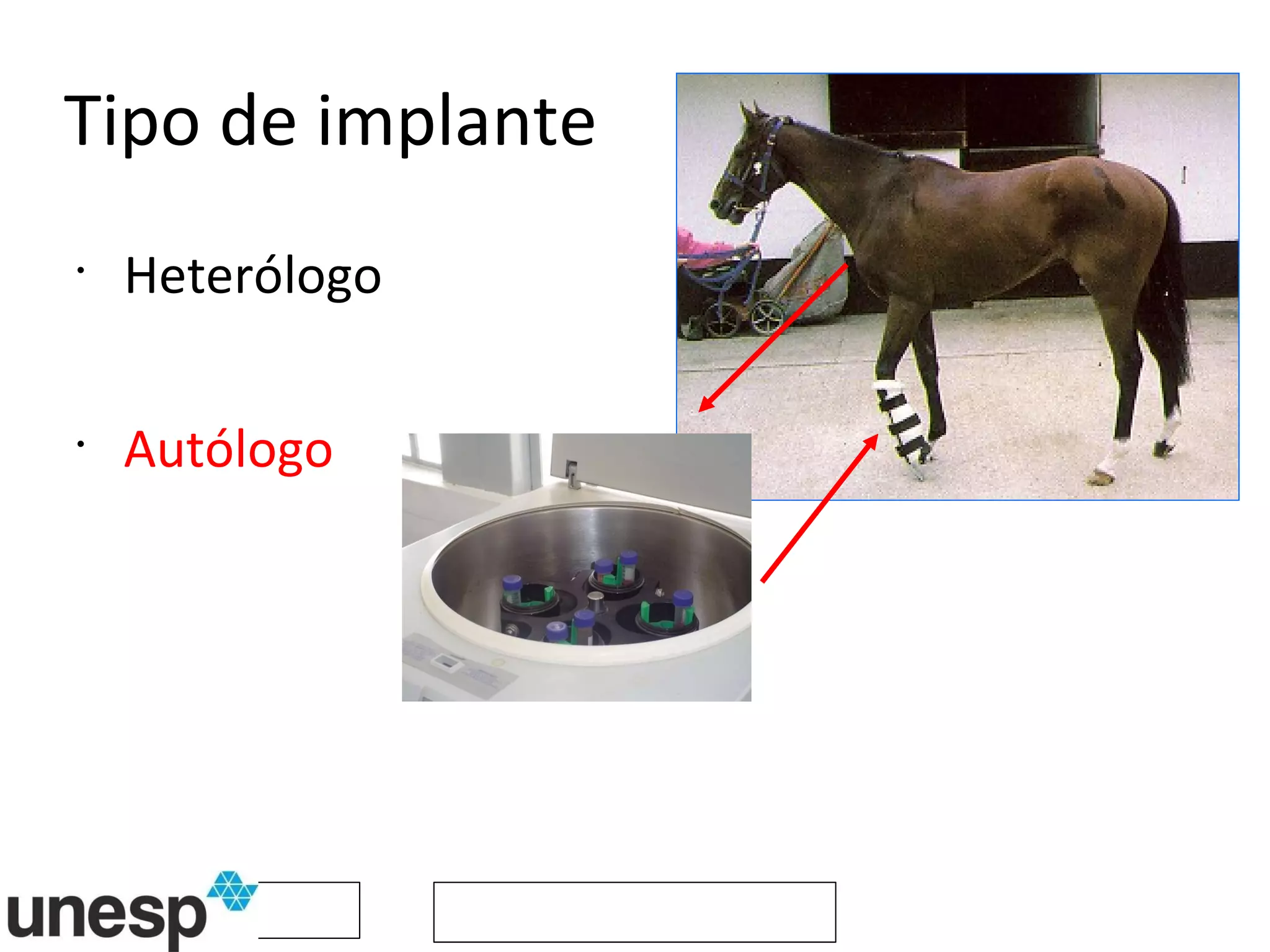 Tipo de implante Heterólogo Autólogo 