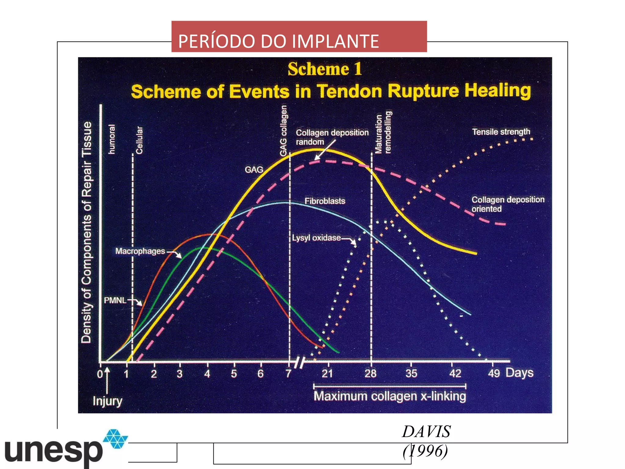 DAVIS (1996) PERÍODO DO IMPLANTE 