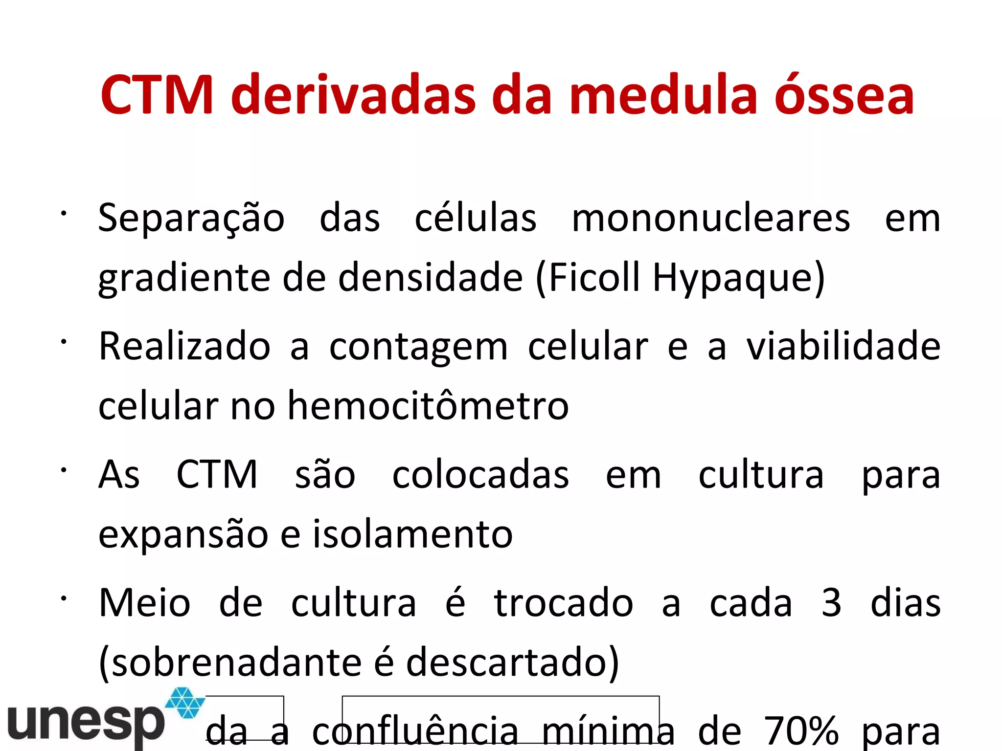 CTM derivadas da medula óssea Separação das células mononucleares em gradiente de densidade (Ficoll Hypaque) Realizado a contagem celular e a viabilidade celular no hemocitômetro As CTM são colocadas em cultura para expansão e isolamento  Meio de cultura é trocado a cada 3 dias (sobrenadante é descartado) Aguarda a confluência mínima de 70% para realizar a tripsinização 